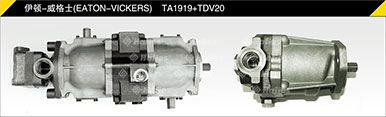 伊頓-威格士TA1919+TDV20